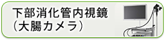 下部消化管内視鏡（大腸カメラ）