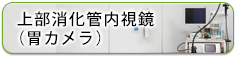 上部消化管内視鏡（胃カメラ）